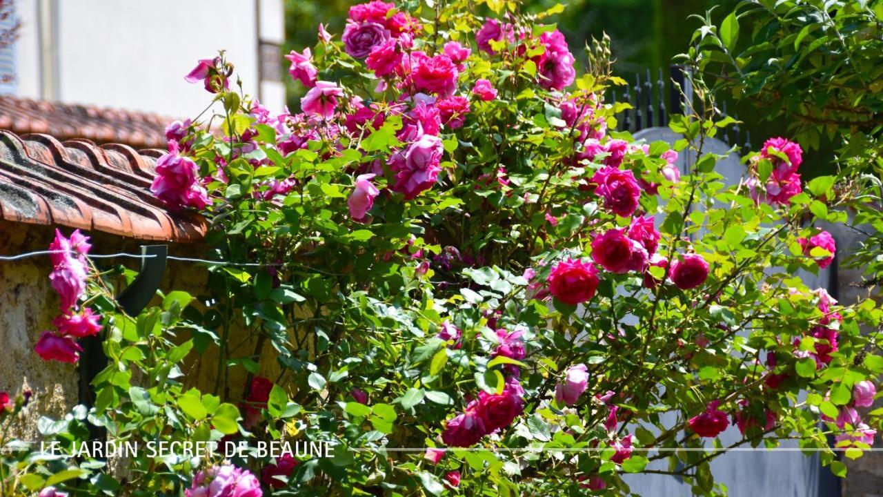Le Jardin Secret De Beaune * Beaune (Cote d'Or)